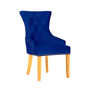 Shawn Dining Chairs Blue